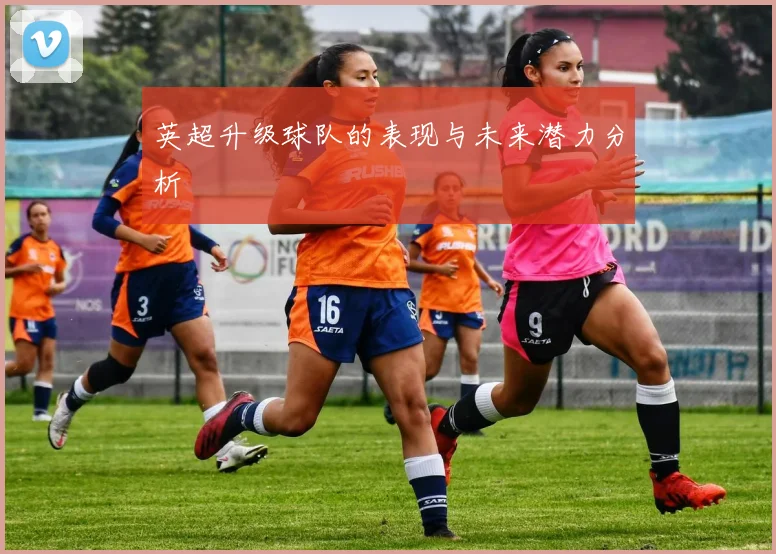 英超升级球队的表现与未来潜力分析