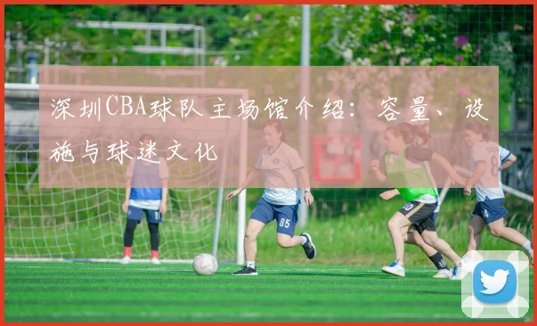 深圳CBA球队主场馆介绍：容量、设施与球迷文化