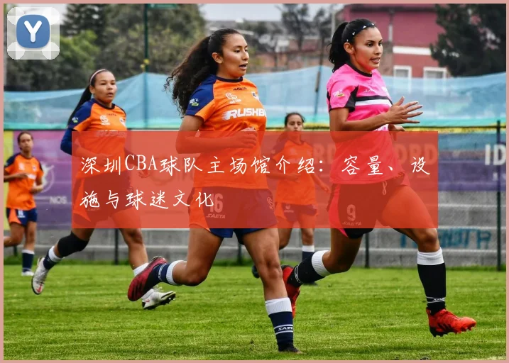 深圳CBA球队主场馆介绍：容量、设施与球迷文化