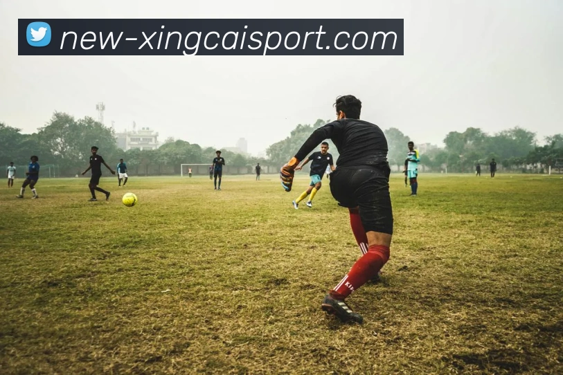 杏彩体育平台生态图