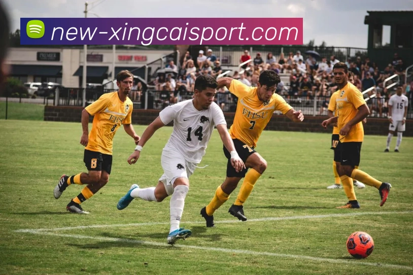 杏彩体育全站App 杏彩体育全站App